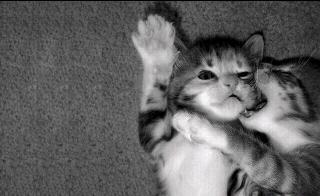 Have Yourselves a Stressless Day
