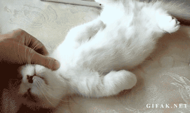 Have Yourselves a Stressless Day