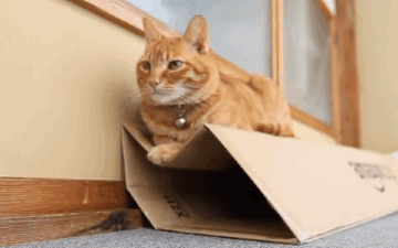Have Yourselves a Stressless Day
