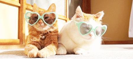 Have Yourselves a Stressless Day