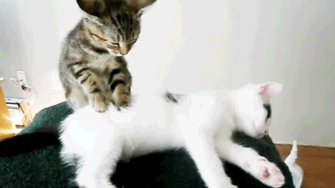 Have Yourselves a Stressless Day