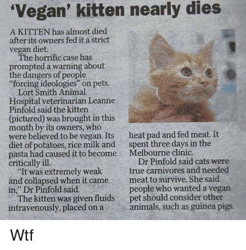 Vegans, Don't Force Your Pets to Become Vegan Too!