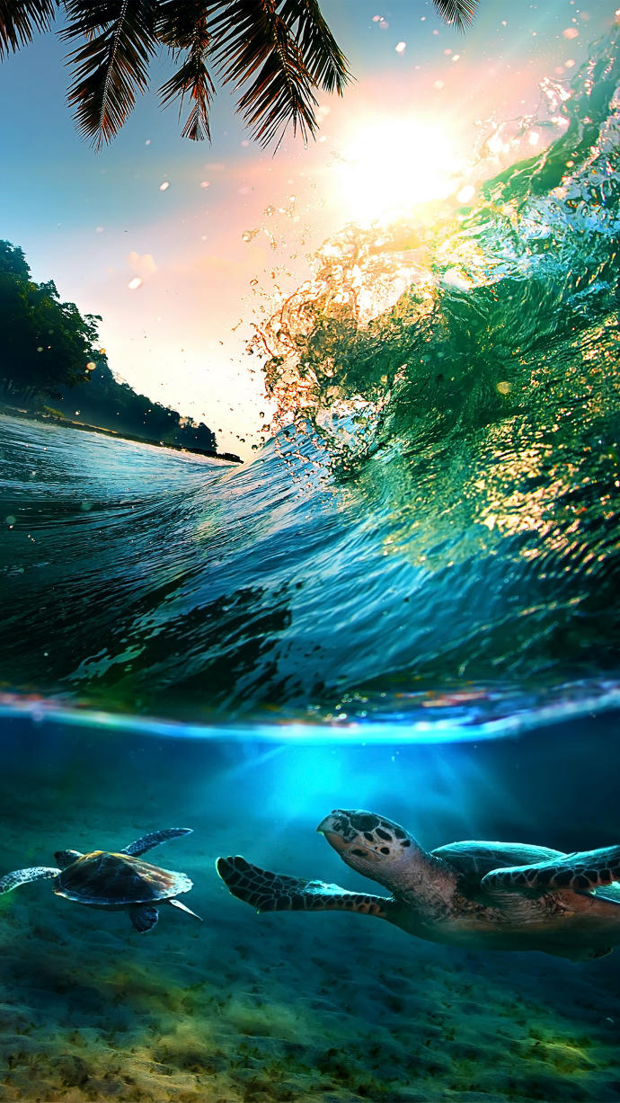 7 Fun Ocean Activities To Try Out This Summer