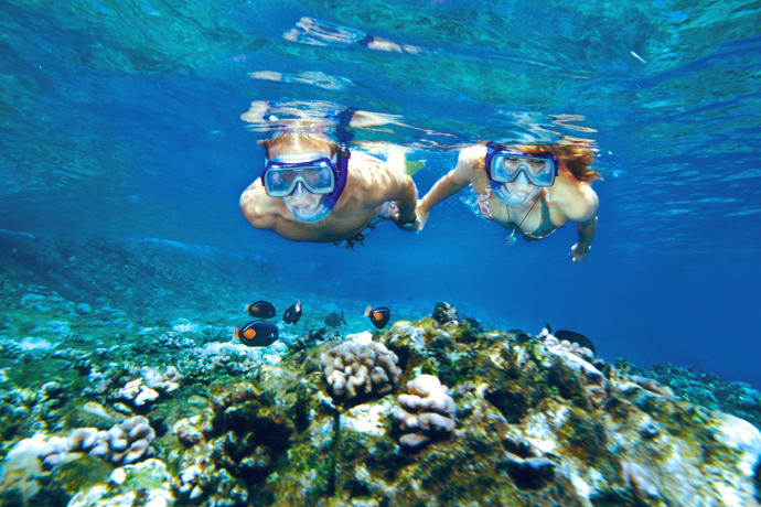 7 Fun Ocean Activities To Try Out This Summer