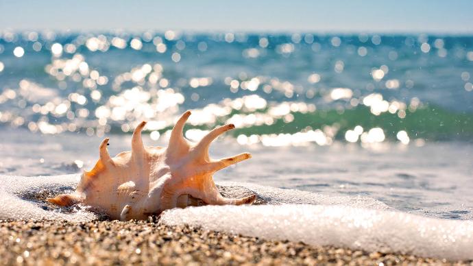7 Fun Ocean Activities To Try Out This Summer
