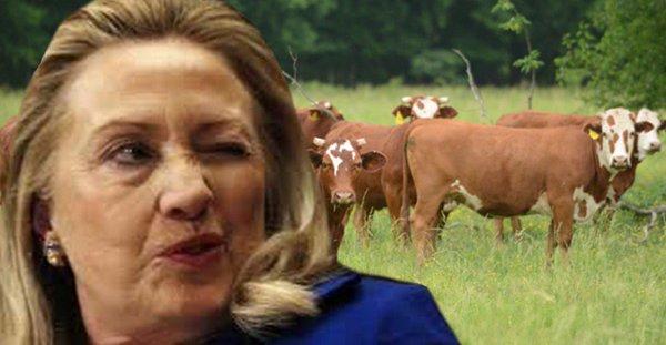 What You May Not Know About Hillary Clinton's Scandal History!