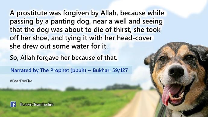 5 Reasons Why Muslims are Actually Normal - Even Awesome - People