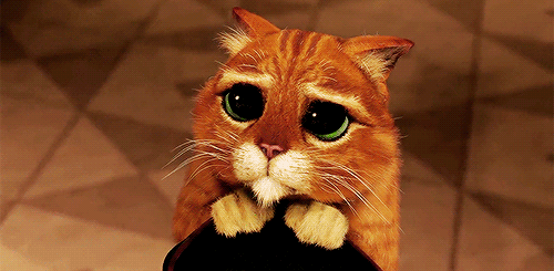 You're Doing It Wrong: How to Apologize the Right Way