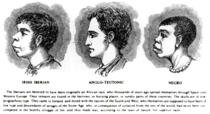 Why Races are Indeed a Social Construct and There is Only ONE RACE