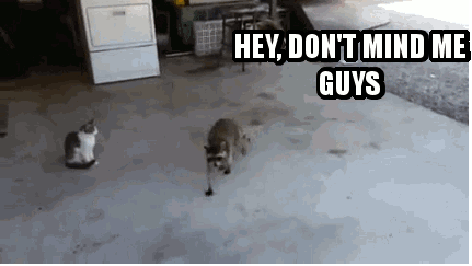 Do You Have Toxic Friends? 10 Questions You Need to Ask Yourself