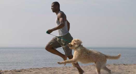 How To Work Out Safely During the Summer For You and Your Dog