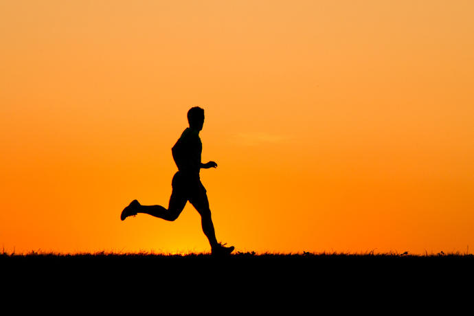 How To Work Out Safely During the Summer For You and Your Dog