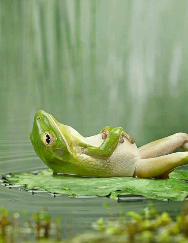 How to Battle Your Sickness: 5 Simple Steps