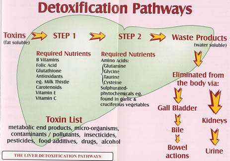 Why You Should Not Use NutriSystem To Lose Weight