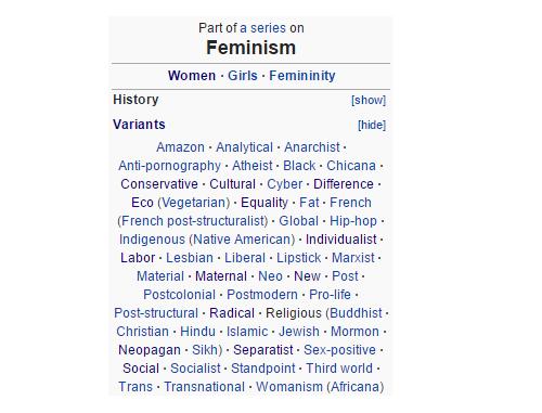 Both Anti-Feminists and Many Feminists Are Wrong About Whether Feminism Advocates "Equality"