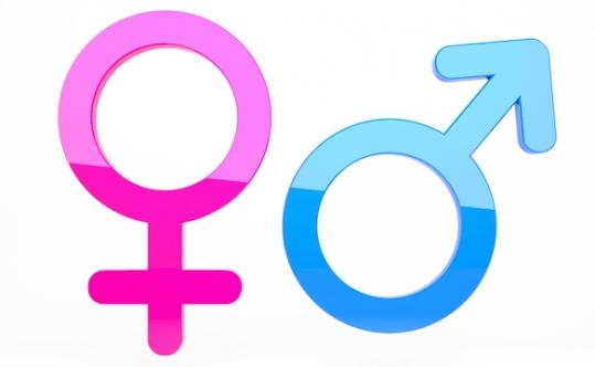 Patriarchy and Gynocenterism and Why Both Are Right