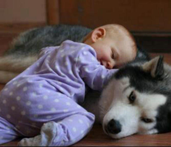 Babies & Puppies: Cute Pictures to Keep You Smiling All Weekend!