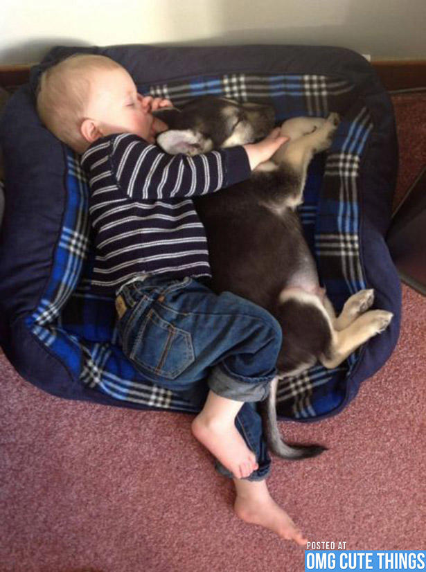 Babies & Puppies: Cute Pictures to Keep You Smiling All Weekend!