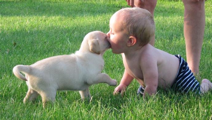 Babies & Puppies: Cute Pictures to Keep You Smiling All Weekend!