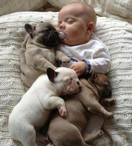 Babies & Puppies: Cute Pictures to Keep You Smiling All Weekend!