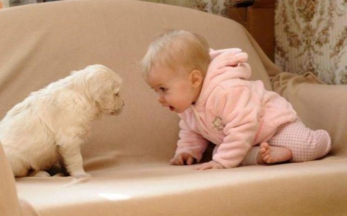Babies & Puppies: Cute Pictures to Keep You Smiling All Weekend!