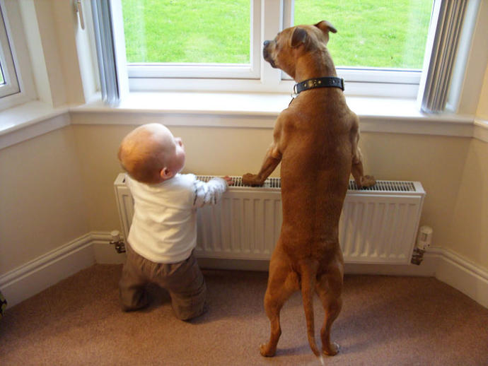 Babies & Puppies: Cute Pictures to Keep You Smiling All Weekend!