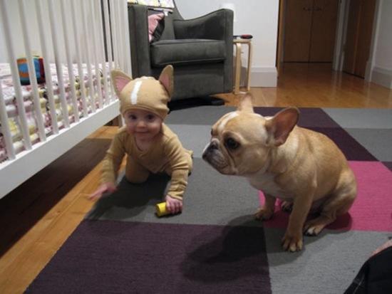 Babies & Puppies: Cute Pictures to Keep You Smiling All Weekend!