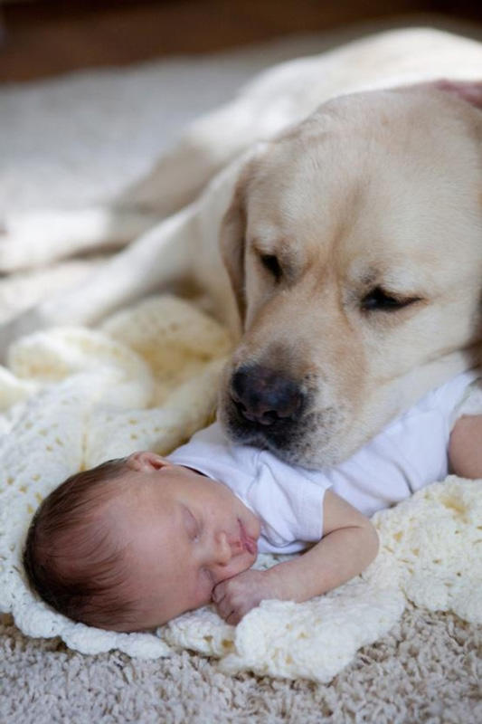 Babies & Puppies: Cute Pictures to Keep You Smiling All Weekend!