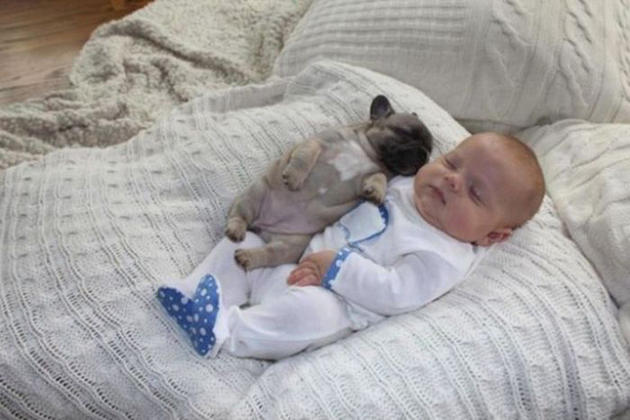 Babies & Puppies: Cute Pictures to Keep You Smiling All Weekend!