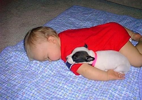 Babies & Puppies: Cute Pictures to Keep You Smiling All Weekend!