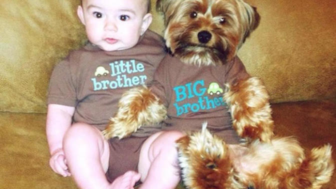 Babies & Puppies: Cute Pictures to Keep You Smiling All Weekend!