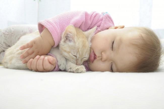 Kittens and Babies: Cute Pictures to Keep You Smiling Throughout the Week!