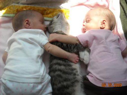 Kittens and Babies: Cute Pictures to Keep You Smiling Throughout the Week!