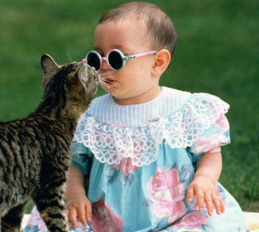 Kittens and Babies: Cute Pictures to Keep You Smiling Throughout the Week!