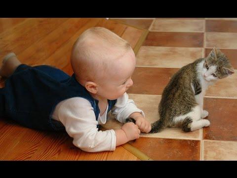 Kittens and Babies: Cute Pictures to Keep You Smiling Throughout the Week!