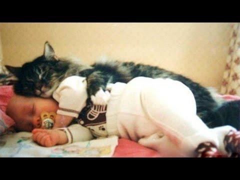 Kittens and Babies: Cute Pictures to Keep You Smiling Throughout the Week!