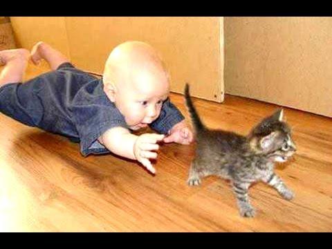 Kittens and Babies: Cute Pictures to Keep You Smiling Throughout the Week!