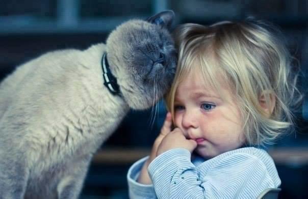 Kittens and Babies: Cute Pictures to Keep You Smiling Throughout the Week!