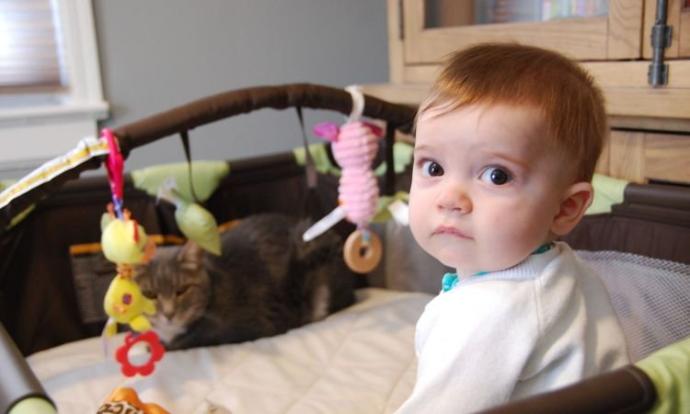 Kittens and Babies: Cute Pictures to Keep You Smiling Throughout the Week!