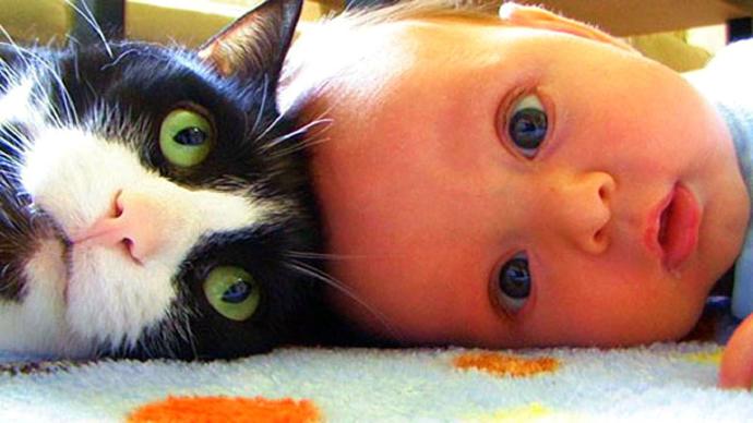 Kittens and Babies: Cute Pictures to Keep You Smiling Throughout the Week!