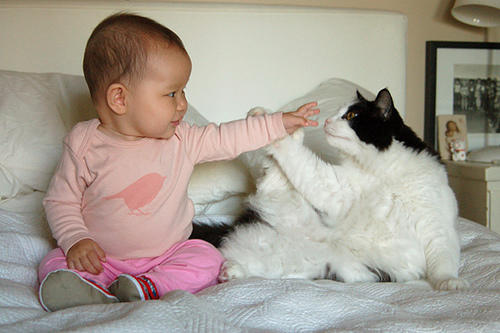 Kittens and Babies: Cute Pictures to Keep You Smiling Throughout the Week!