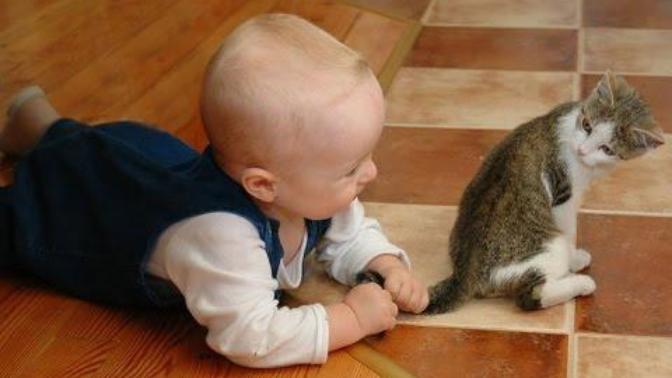 Kittens and Babies: Cute Pictures to Keep You Smiling Throughout the Week!