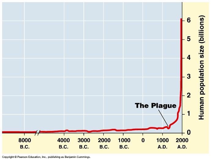 Why Humans Rule The World
