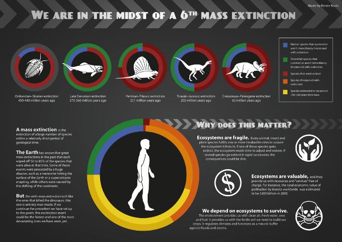 Why Humans Rule The World