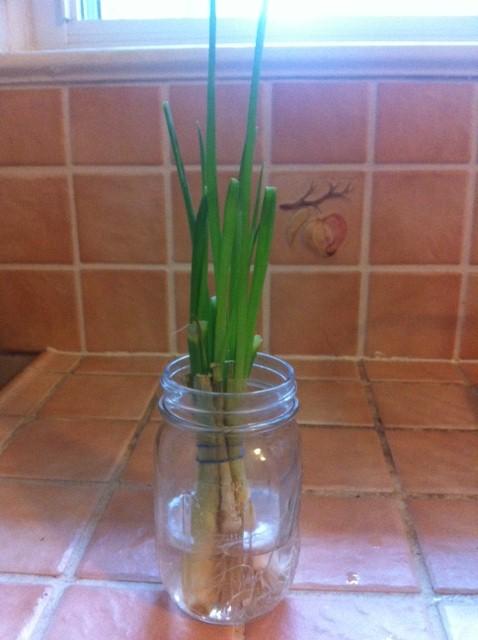 11 Tips for Eating Healthy on a Budget