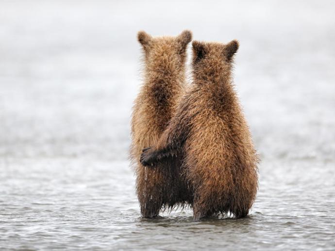 My Take on Love, and Why I Vow to Keep Trying