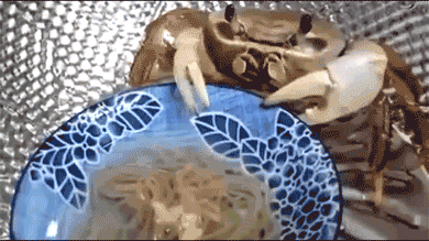 Pasta is Our Friend: Why It Fits the Healthy Lifestyle