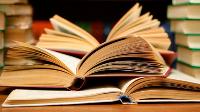 6 Underrated Books for the Avid Reader: Try a New Genre!