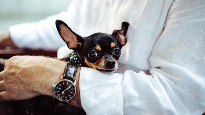 Why Girls Don't Really Want To Date Ambitious Men