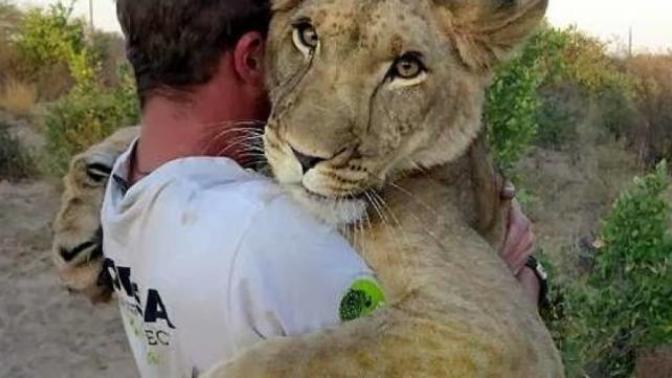 10 True Stories of Animals Saving Humans From Near-Death Experiences